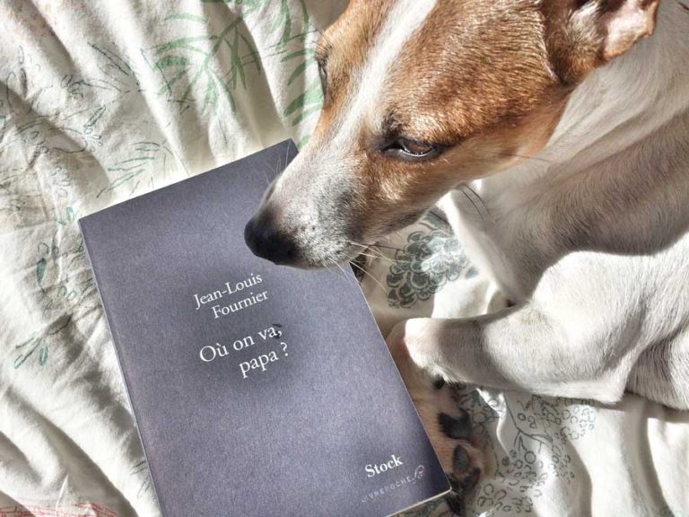 OÙ ON VA, PAPA? DE JEANLOUIS FOURNIER Livrepoche.fr